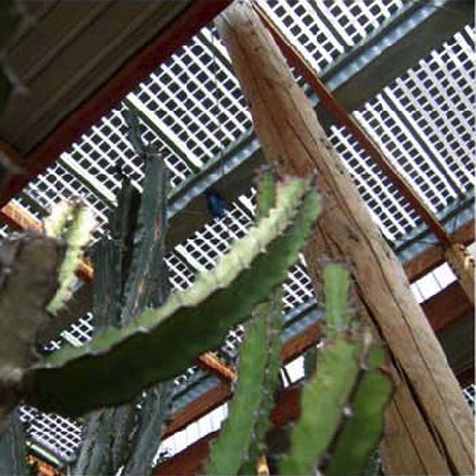 JARDINS BOTANIQUES BORDEAUX 2 PS