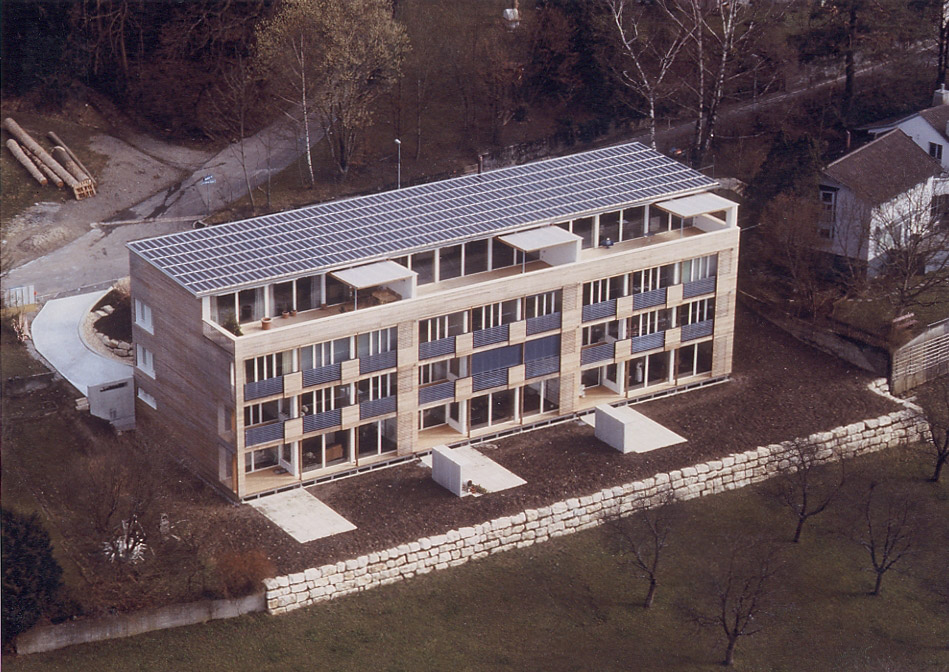 Sunny-Woods Kaempfen1