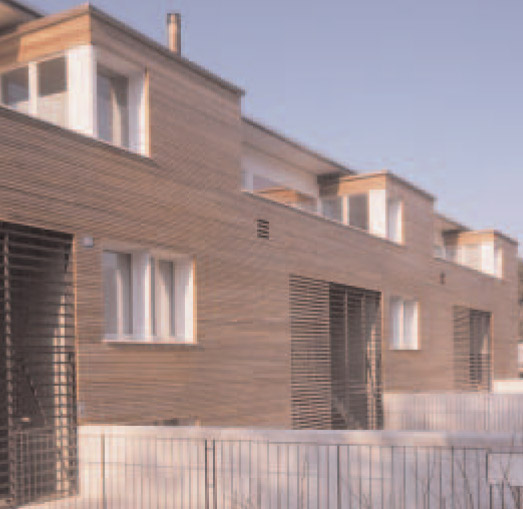 Sunny-Woods Kaempfen2