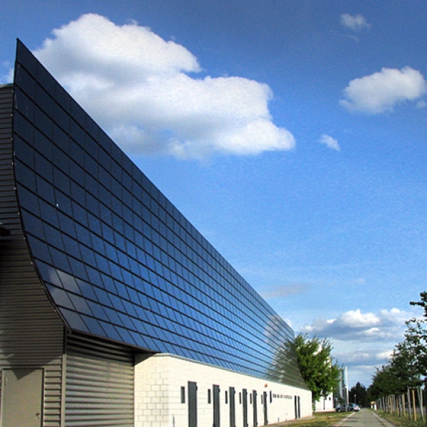 Ferdinand Braun Institute